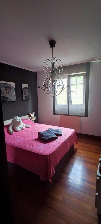 Nala House, Acogedor,Bien Comunicado,Aparcamiento Gratis En La Calle Bilbao Kültér fotó