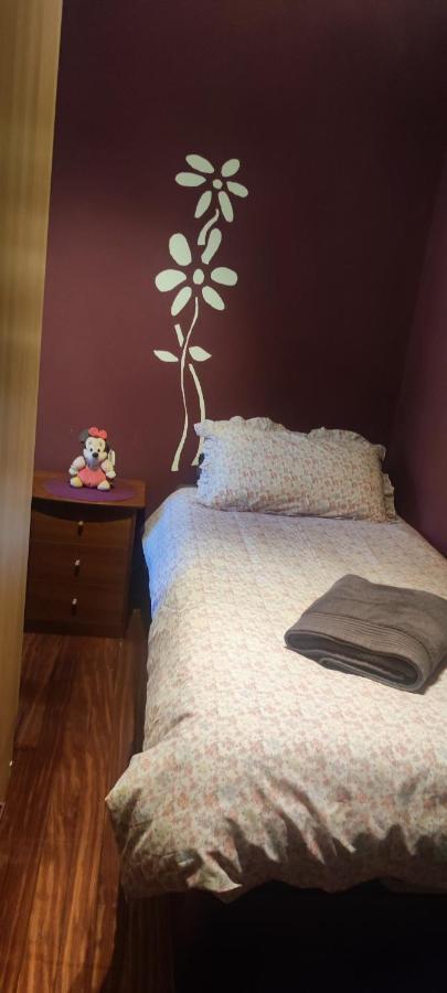 Nala House, Acogedor,Bien Comunicado,Aparcamiento Gratis En La Calle Bilbao Kültér fotó